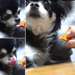 バレてるで