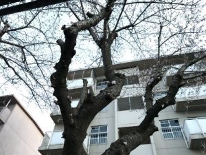 レジの中から